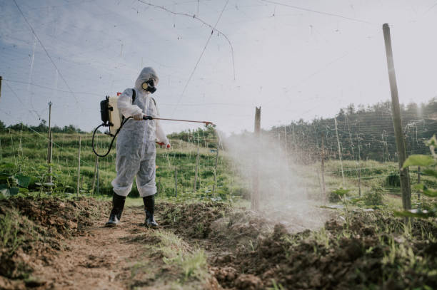 Professional Pest Control in Trappe, PA