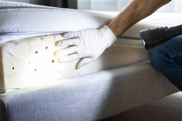Best Emergency Pest Control  in Trappe, PA
