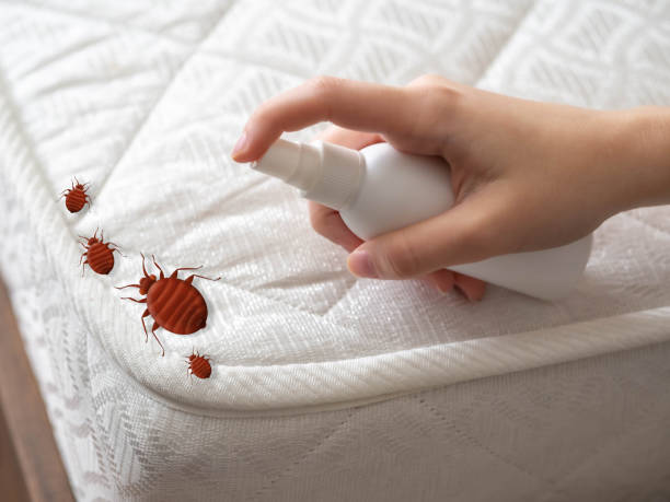 Best Bed Bug Extermination  in Trappe, PA