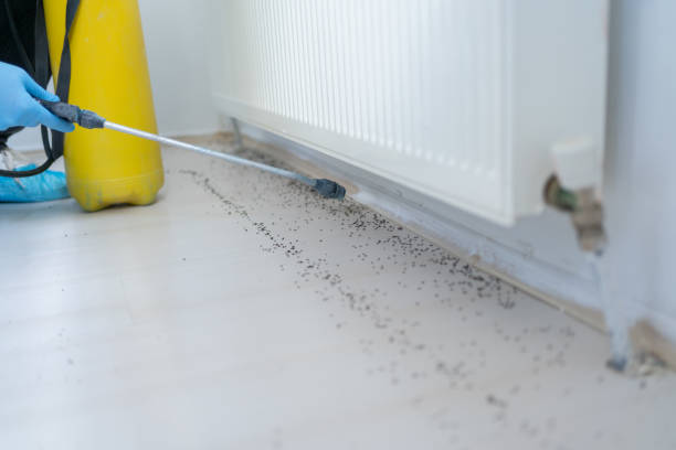 Best Wildlife Control Services  in Trappe, PA