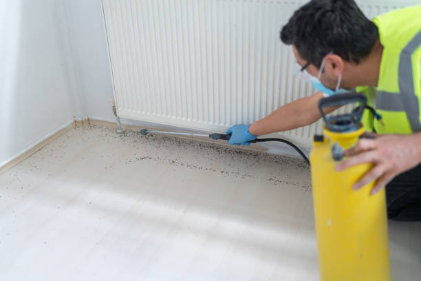 Best Residential Pest Control  in Trappe, PA