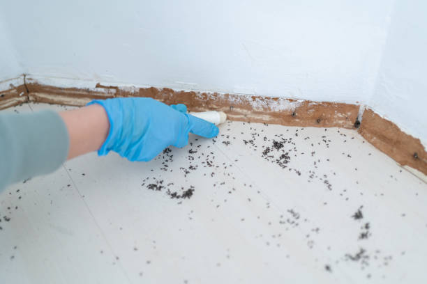 Pest Control Cost in Trappe, PA